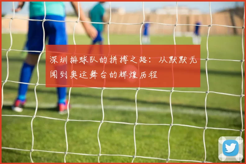 深圳排球队的拼搏之路：从默默无闻到奥运舞台的辉煌历程