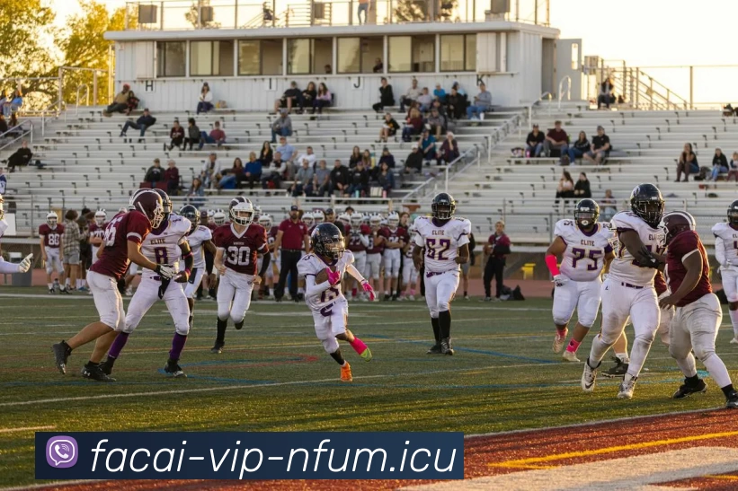 App Interface Preview