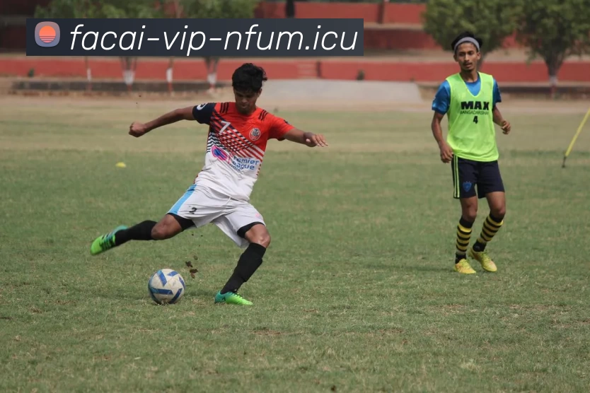 九游体育注册APP 封面图